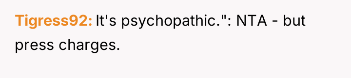 Tigress92 It's psychopathic.": NTA - but press charges.