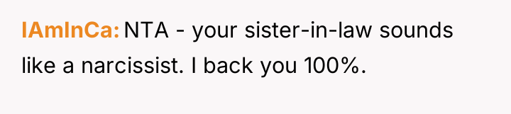 IAmInCa NTA - your sister-in-law sounds like a narcissist. I...