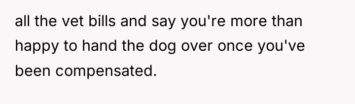 all the vet bills and say you're more than happy...