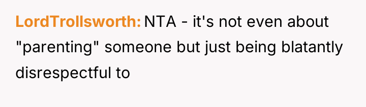LordTrollsworth NTA - it's not even about "parenting" someone but...
