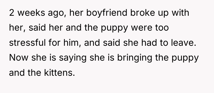 2 weeks ago, her boyfriend broke up with her, said...