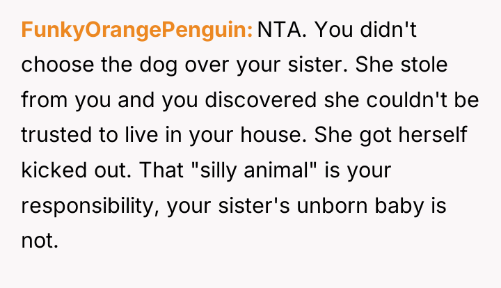 FunkyOrangePenguin NTA. You didn't choose the dog over your sister....