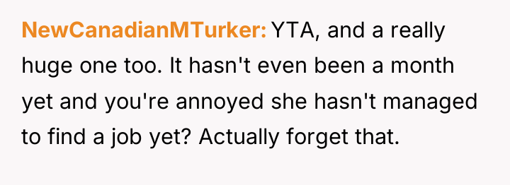 NewCanadianMTurker YTA, and a really huge one too. It hasn't...