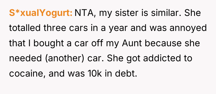 S*xualYogurt NTA, my sister is similar. She totalled three cars...