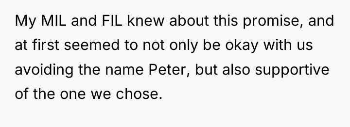 My MIL and FIL knew about this promise, and at...