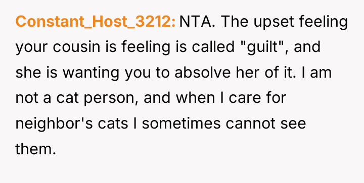 Constant_Host_3212 NTA. The upset feeling your cousin is feeling is...