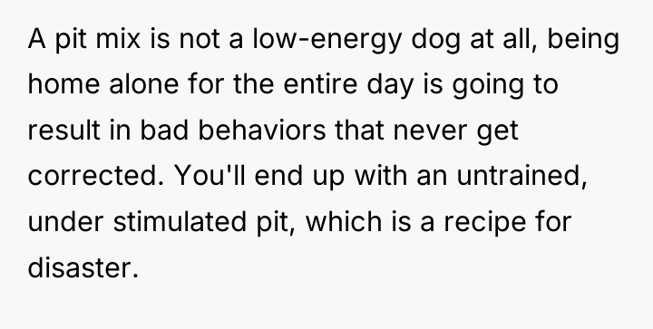 A pit mix is not a low-energy dog at all,...