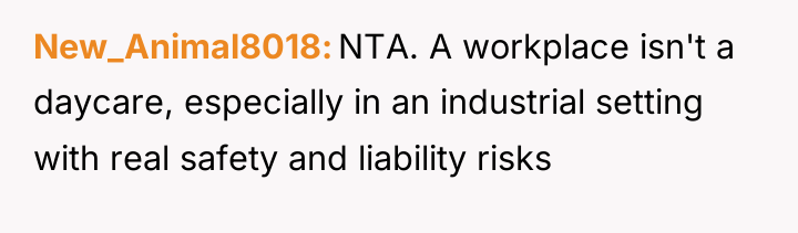 New_Animal8018 NTA. A workplace isn't a daycare, especially in an...