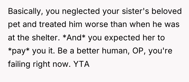 Basically, you neglected your sister's beloved pet and treated him...