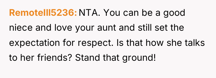 RemoteIll5236 NTA. You can be a good niece and love...