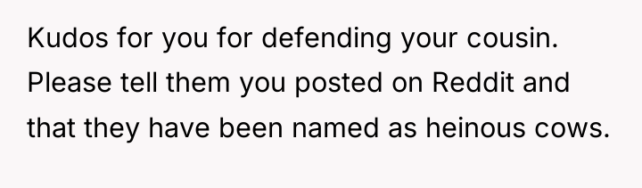 Kudos for you for defending your cousin. Please tell them...