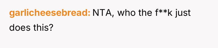 garlicheesebread NTA, who the f**k just does this?