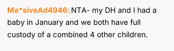 Ma*siveAd4946 NTA- my DH and I had a baby in...