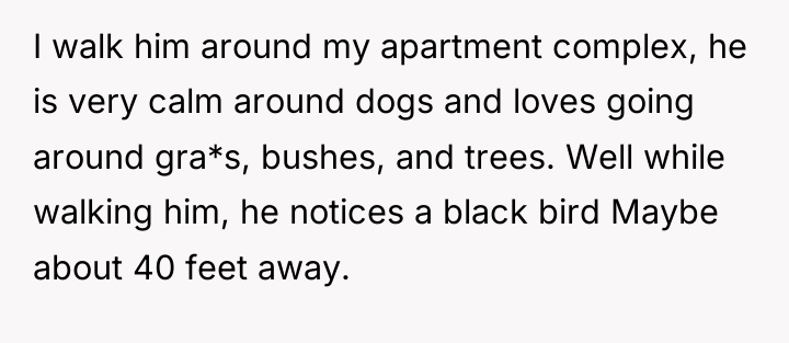 I walk him around my apartment complex, he is very...