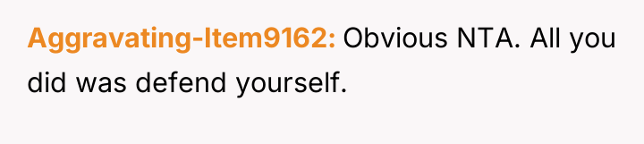 Aggravating-Item9162 Obvious NTA. All you did was defend yourself.