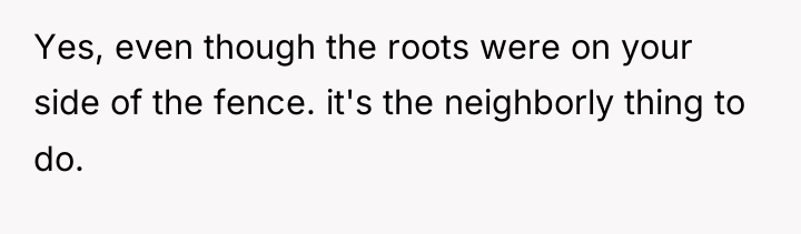 Yes, even though the roots were on your side of...