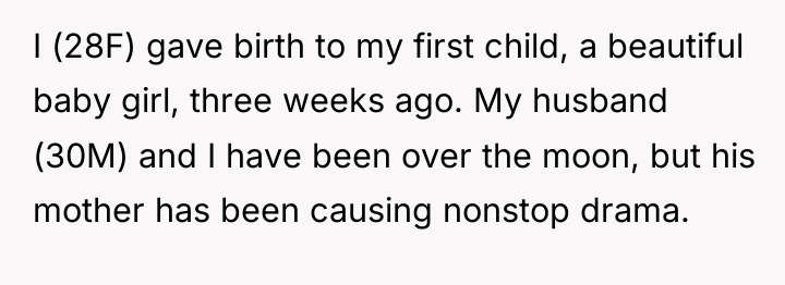 I (28F) gave birth to my first child, a beautiful...