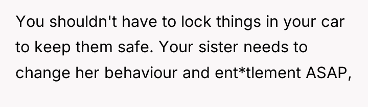 You shouldn't have to lock things in your car to...