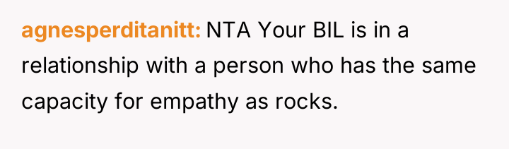 agnesperditanitt NTA Your BIL is in a relationship with a...