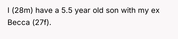 I (28m) have a 5.5 year old son with my...
