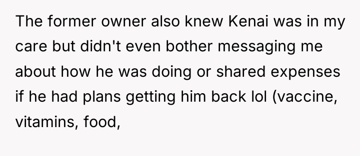 The former owner also knew Kenai was in my care...