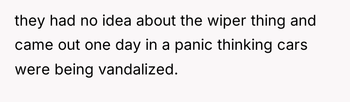 they had no idea about the wiper thing and came...