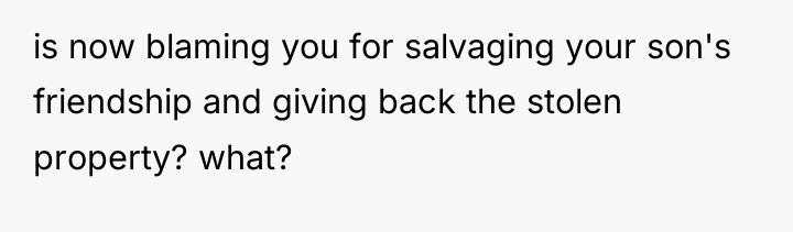 is now blaming you for salvaging your son's friendship and...