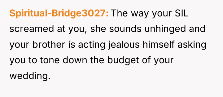 Spiritual-Bridge3027 The way your SIL screamed at you, she sounds...