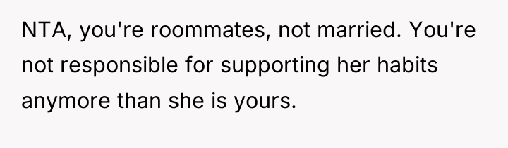 NTA, you're roommates, not married. You're not responsible for supporting...