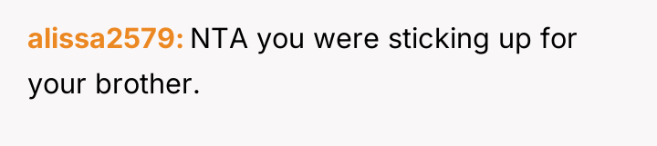 alissa2579 NTA you were sticking up for your brother.
