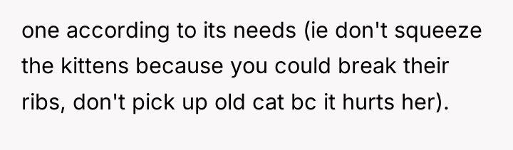 one according to its needs (ie don't squeeze the kittens...