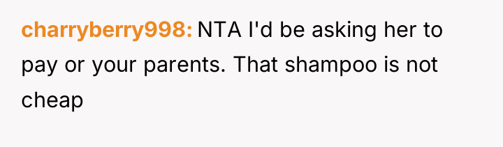 charryberry998 NTA I'd be asking her to pay or your...