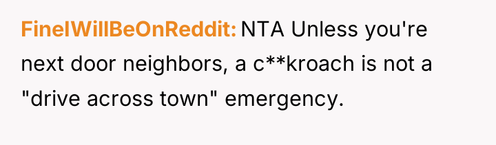 FineIWillBeOnReddit NTA Unless you're next door neighbors, a c**kroach is...