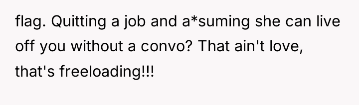 flag. Quitting a job and a*suming she can live off...