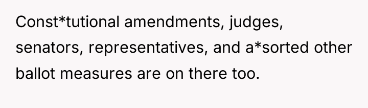 Const*tutional amendments, judges, senators, representatives, and a*sorted other ballot measures...