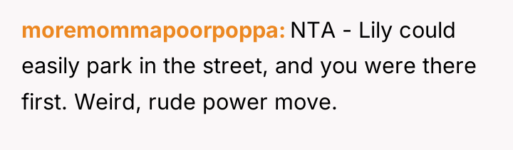 moremommapoorpoppa NTA - Lily could easily park in the street,...