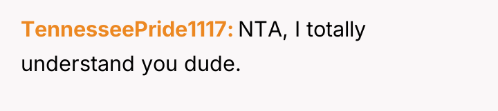 TennesseePride1117 NTA, I totally understand you dude.
