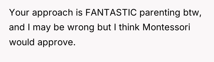 Your approach is FANTASTIC parenting btw, and I may be...