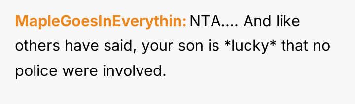 MapleGoesInEverythin NTA.... And like others have said, your son is...
