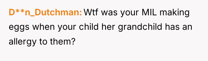 D**n_Dutchman Wtf was your MIL making eggs when your child...