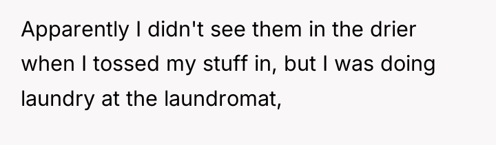 Apparently I didn't see them in the drier when I...