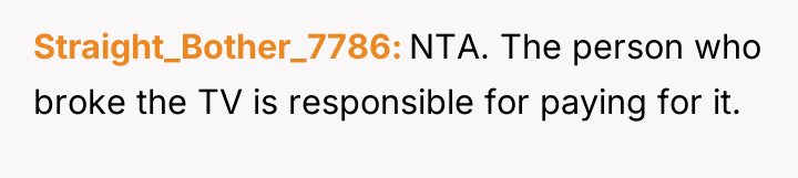 Straight_Bother_7786 NTA. The person who broke the TV is responsible...
