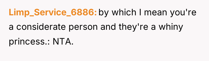 Limp_Service_6886 by which I mean you're a considerate person and...