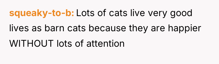 squeaky-to-b Lots of cats live very good lives as barn...