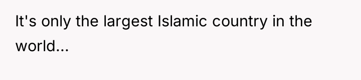 It's only the largest Islamic country in the world...