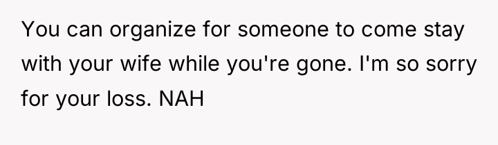 You can organize for someone to come stay with your...