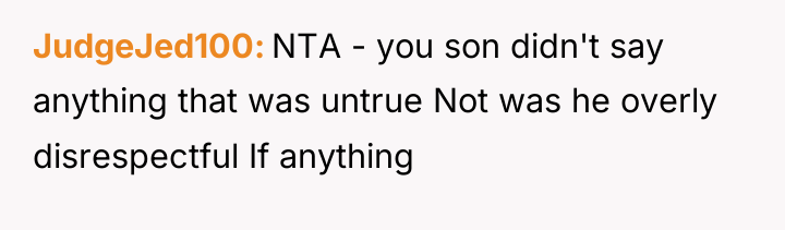 JudgeJed100 NTA - you son didn't say anything that was...