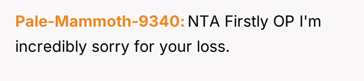 Pale-Mammoth-9340 NTA Firstly OP I'm incredibly sorry for your loss.
