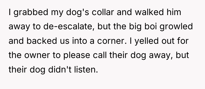 I grabbed my dog's collar and walked him away to...