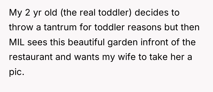 My 2 yr old (the real toddler) decides to throw...